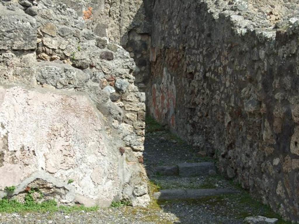 IX.1.1 Pompeii. March 2009. South east corner of shop.  The two steps to the rear room show the entrance to the latrine on the left between the steps.
