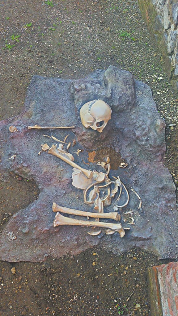 IX.4.18 Pompeii. December 2019.
Discovery outside room "n" of the skeleton of a child. Photo courtesy of Giuseppe Ciaramella.

