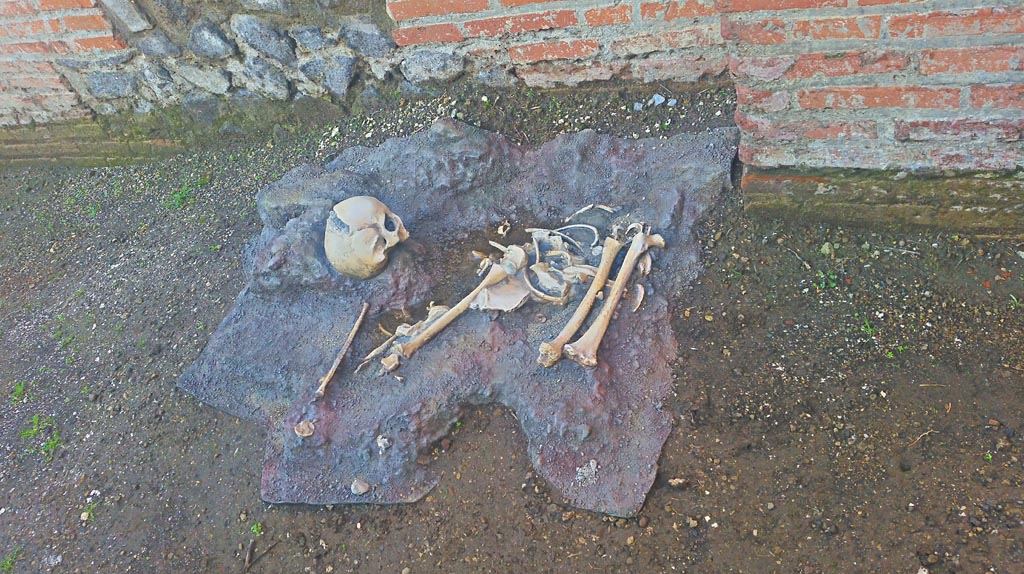IX.4.18 Pompeii. December 2019. Cast of skeleton found outside room “n”. Photo courtesy of Giuseppe Ciaramella.