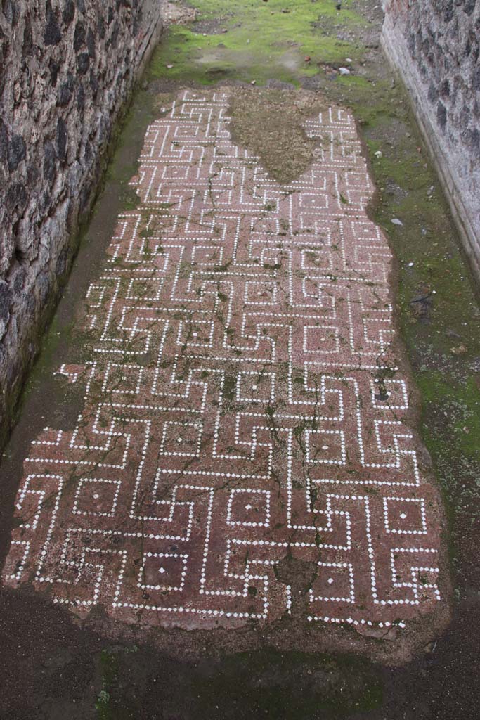 IX.4.18 Pompeii. October 2020. Flooring in corridor leading east. Photo courtesy of Klaus Heese.