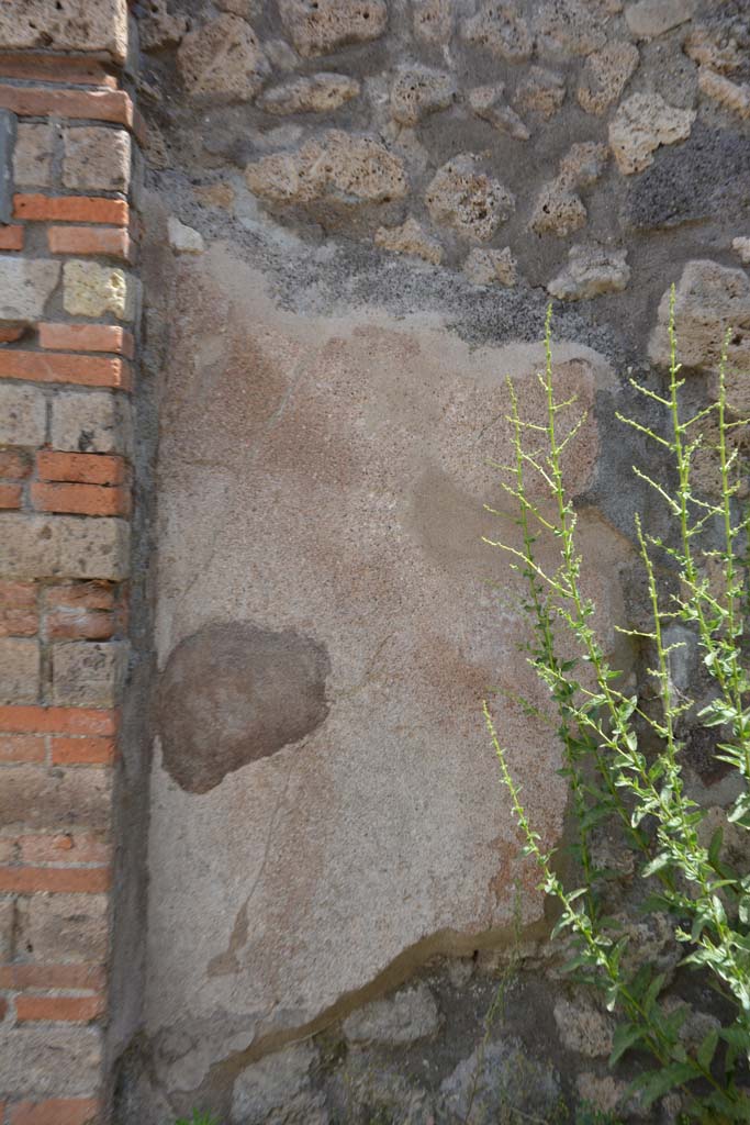 IX.5.7 Pompeii. May 2017. Detail from east wall in north-east corner.
Foto Christian Beck, ERC Grant 681269 DCOR.

