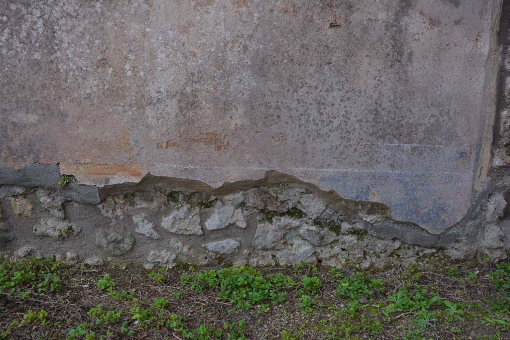IX.5.18 Pompeii. March 2018. Detail from lower south wall in south-west corner of atrium/courtyard garden.    
Foto Annette Haug, ERC Grant 681269 DÉCOR.
