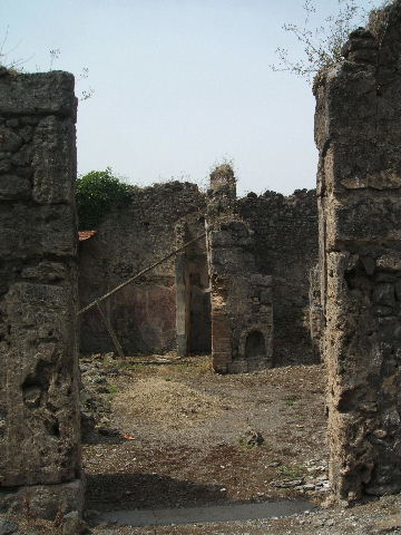 IX.6.8 Pompeii.  Remains of painted plaster.