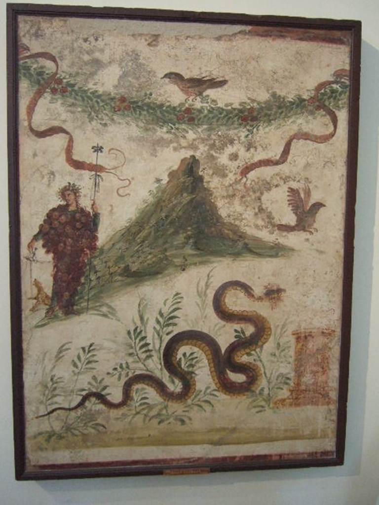 IX.8.3-6 Pompeii.  Found in Atrium of servants quarters (see IX.8.6 for exact position).  Lararium painting of Bacchus wearing a bunch of grapes.  Also in the painting are a garland, birds and a snake approaching a round altar from the left.   Bacchus is pouring wine for the panther to drink.   The mountain slopes are covered in vines. Now in Naples Archaeological Museum.  Inventory number: 112286. See Frhlich, T., 1991. Lararien und Fassadenbilder in den Vesuvstdten. Mainz: von Zabern. (L107, T: 11). See Boyce G. K., 1937. Corpus of the Lararia of Pompeii. Rome: MAAR 14. (p.89, no.448, with Pl.40,2) 
