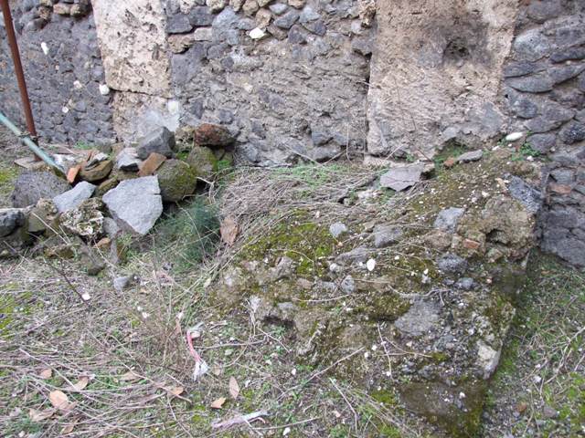 IX.8.6 Pompeii. March 2009.   Room 36, West wall.