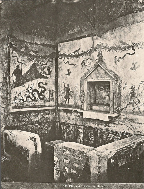 IX.8.6 Pompeii.  December 2007.  West Portico.  Painted panel.