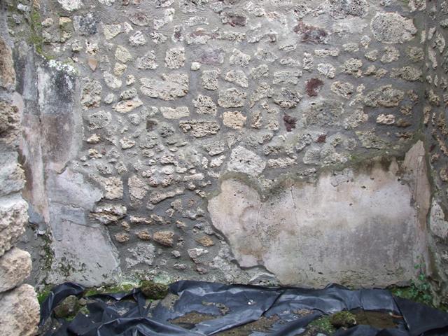 IX.8.6 Pompeii. March 2009.  Room 23.  Lararium.