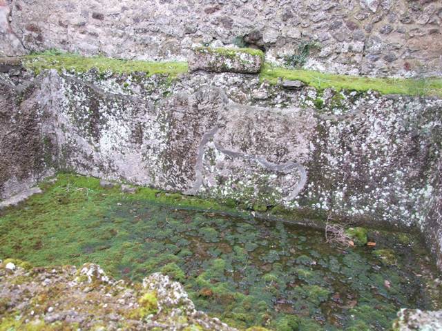 IX.8.6 Pompeii.  September 2004.  Cellar, or Servants Kitchen.  Under the baths area, taken from Vico del Centenario.

