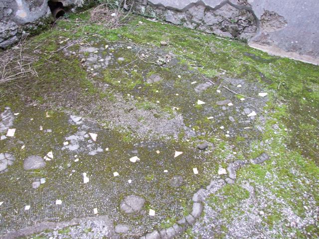 IX.8.6 Pompeii. March 2009.  Room 29. Baths area, Praefurnium.