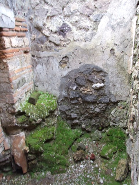 IX.9.c Pompeii.  March 2009.  Latrine.  South wall.