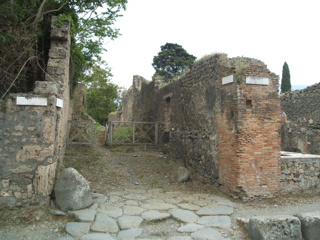 IX.10.1 Pompeii, on left. May 2005. Unnamed vicolo, looking south. IX.9.8, on right.