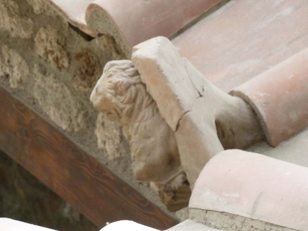 IX.12.9 Pompeii. May 2010. North-west corner of roof with detail of decorative water-spout.