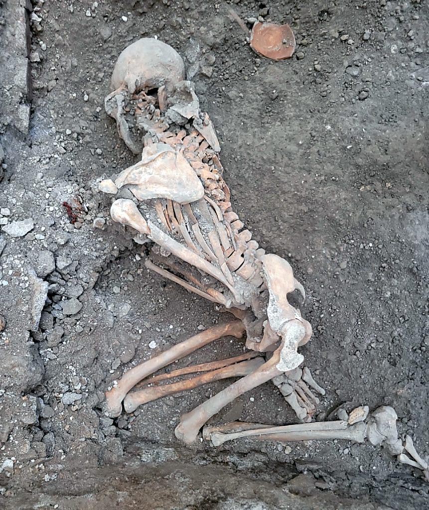 IX.12.9 Pompeii. May 2023. Room 13. Skeleton of victim 1 in south-west corner.
Scheletro della vittima 1 vicino nell’angolo sud-ovest.
Photograph © Parco Archeologico di Pompei.


