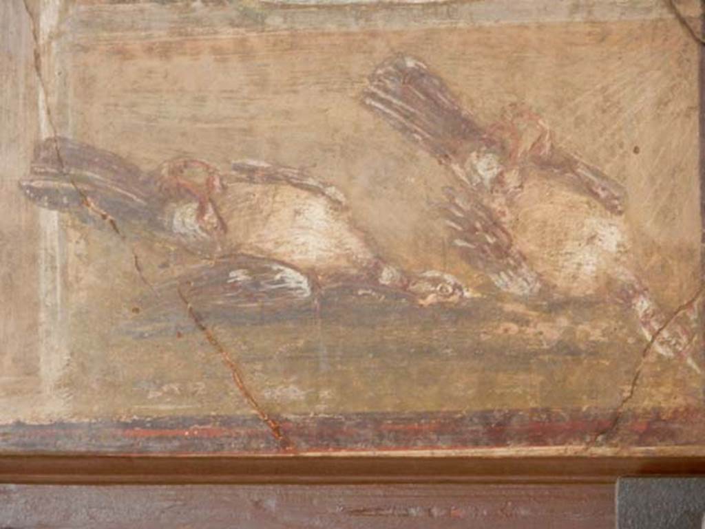 HGW24 Pompeii. May 2016. Detail of two dead birds, from above painting.
Now in Naples Archaeological Museum, inventory number 8634.  Photo courtesy of Buzz Ferebee.
Foodstuffs%20exhibit%20Ferebee%20May%202016%20DSCN8253