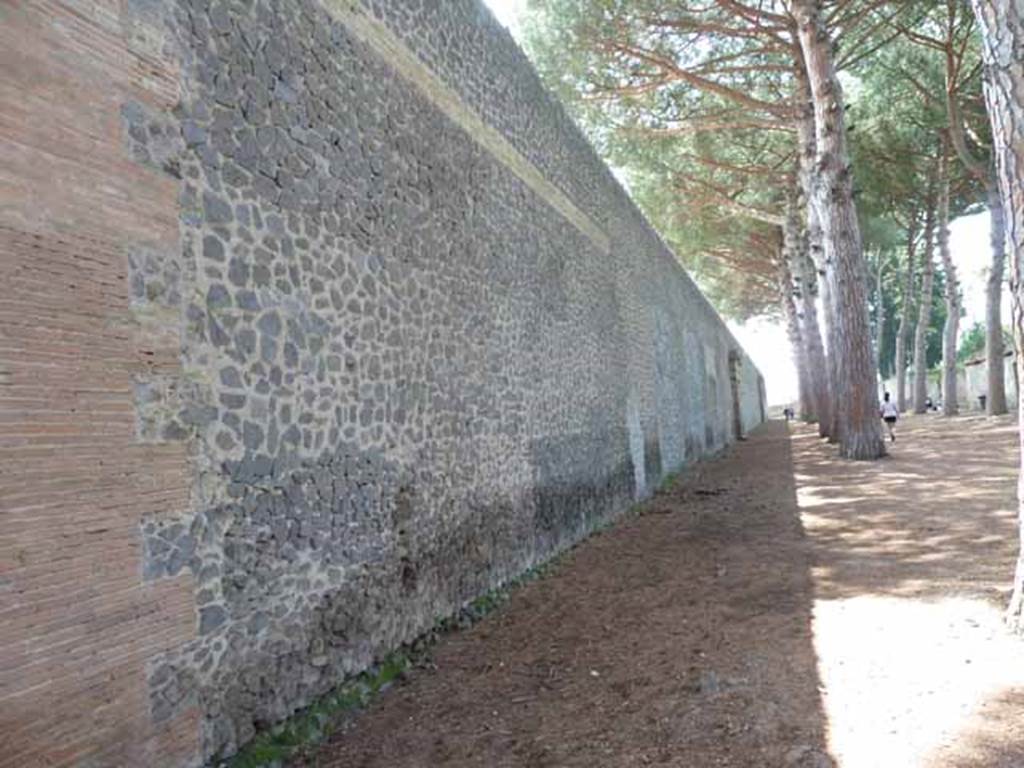 Via di Castricio, south side, May 2010. North exterior wall of the Palestra, looking west.