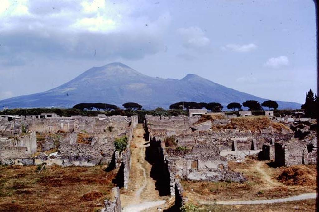 Vicolo dei Fuggiaschi. Pompeii. 1972. Looking north between I.21 and I.20. Photo by Stanley A. Jashemski. 
Source: The Wilhelmina and Stanley A. Jashemski archive in the University of Maryland Library, Special Collections (See collection page) and made available under the Creative Commons Attribution-Non Commercial License v.4. See Licence and use details. J72f0217
