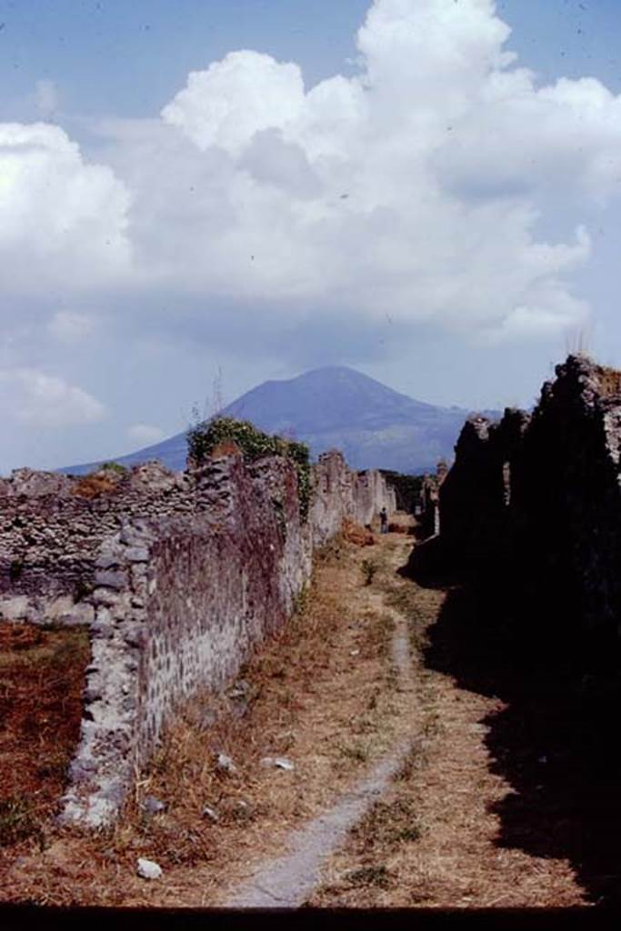 Vicolo dei Fuggiaschi. Pompeii. 1972. Looking north between I.21 and I.20. Photo by Stanley A. Jashemski. 
Source: The Wilhelmina and Stanley A. Jashemski archive in the University of Maryland Library, Special Collections (See collection page) and made available under the Creative Commons Attribution-Non Commercial License v.4. See Licence and use details. J72f0212
