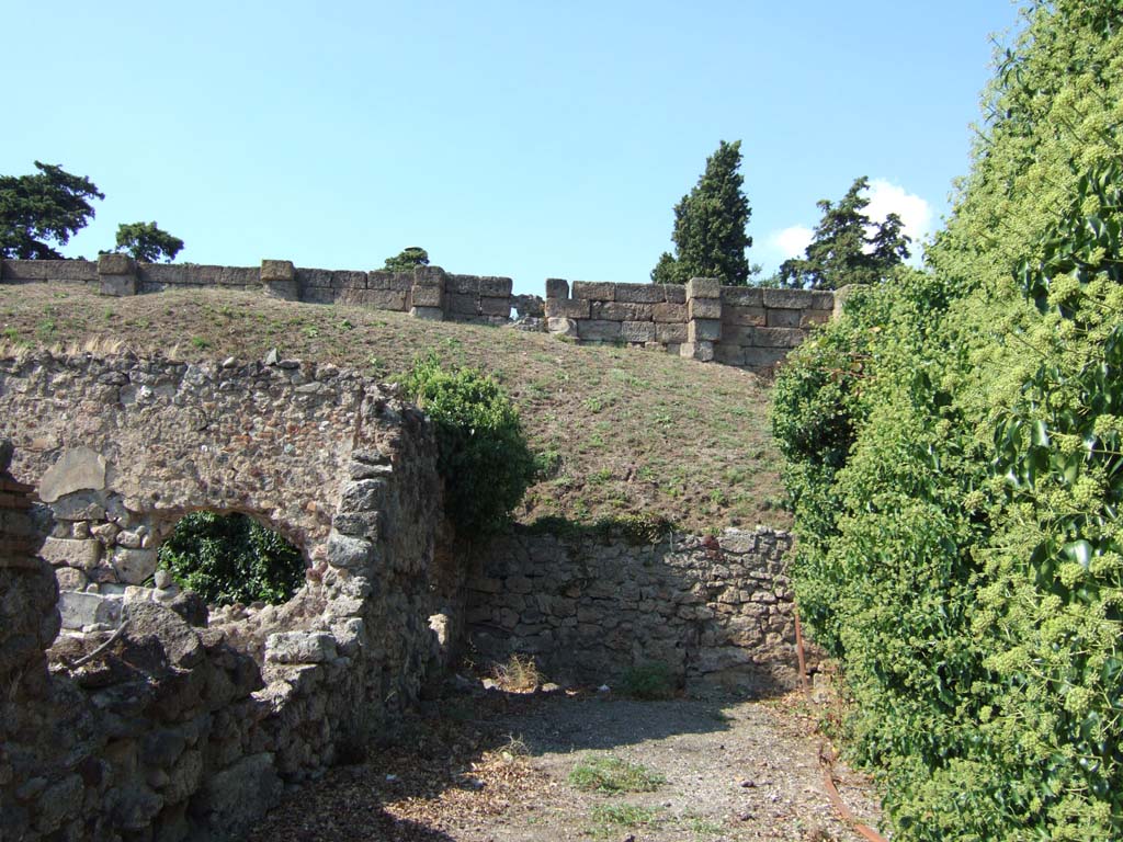 Vicolo del Fauno between VI.9 and VI.11. September 2005. Looking north to city walls from VI.11.1. 