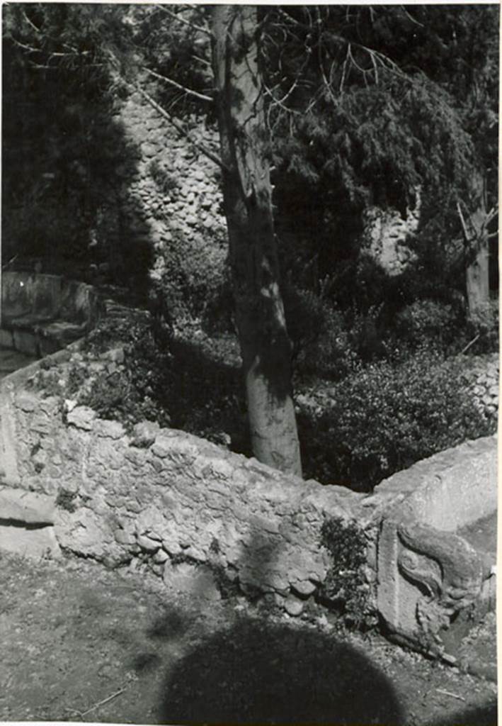 SGG Pompeii. c.1936 photo of enclosure behind schola tomb. See Warscher T., 1936. Codex Topographicus Pompeianus Regio I.1, I.5. Rome: DAIR. No. 3a.