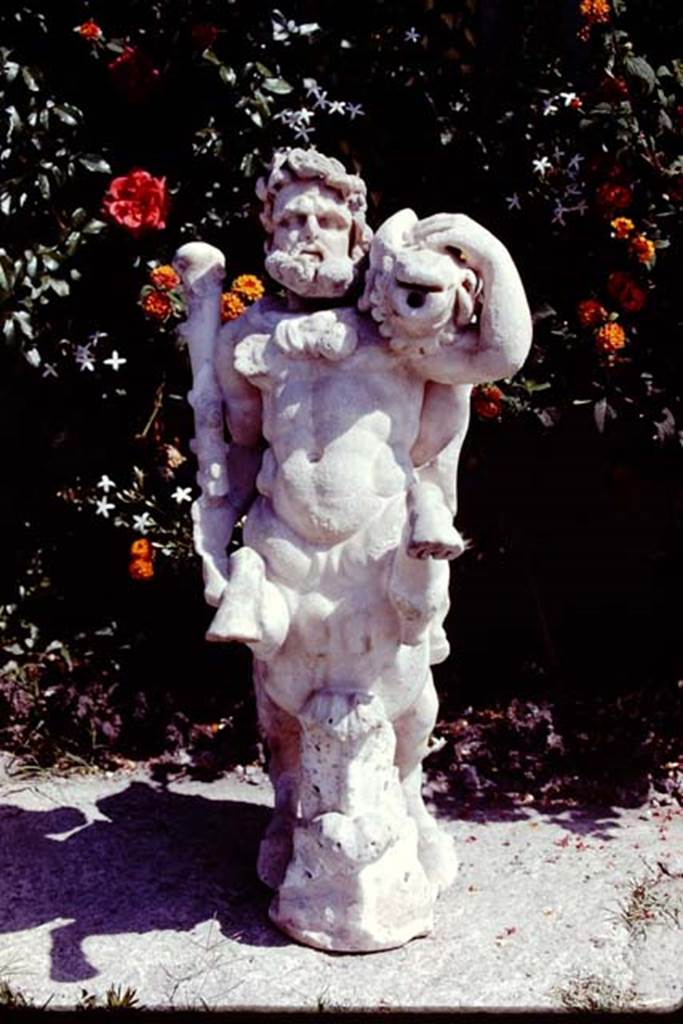 Oplontis, 1978. One of a group of four centaurs, a male holding a club with a small boar on his shoulder. Two centaur fountains had been on each side of the passageway. There was no evidence of pipes, so they had not been used as fountains in their final location. Photo by Stanley A. Jashemski.   
Source: The Wilhelmina and Stanley A. Jashemski archive in the University of Maryland Library, Special Collections (See collection page) and made available under the Creative Commons Attribution-Non Commercial License v.4. See Licence and use details. J78f0478

