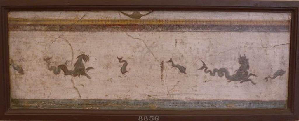Stabiae, Villa Arianna, found 24th December 1760. Room E, painting of sea horses.
Now in Naples Archaeological Museum. Inventory number 8856.
See Sampaolo V. and Bragantini I., Eds, 2009. La Pittura Pompeiana. Electa: Verona, p. 477.

