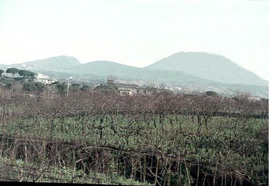 Vesuvius, January 1977. Photo courtesy of David Hingston.