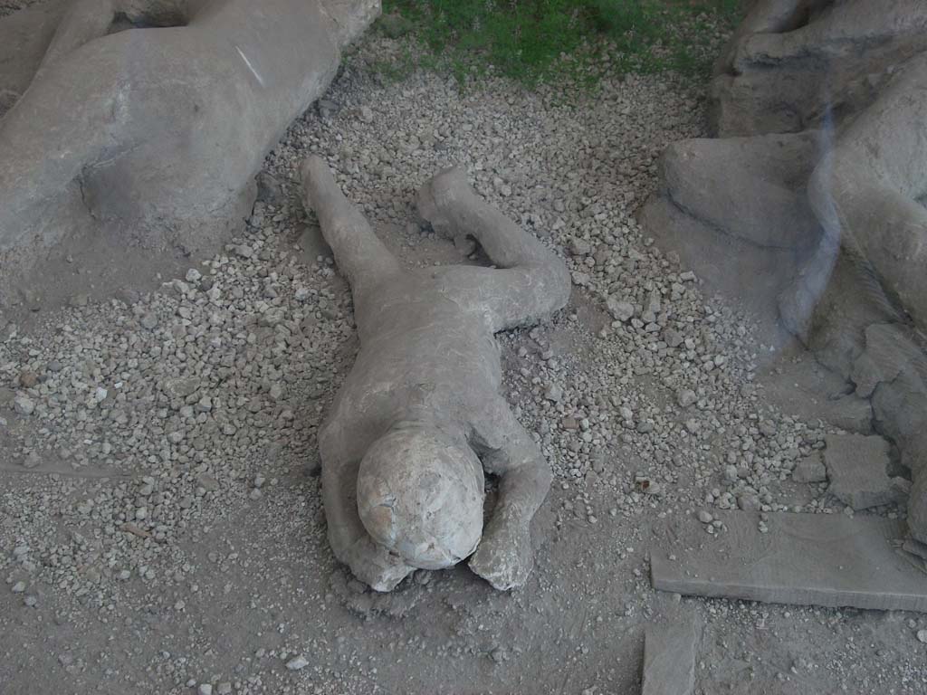 I.21.6 Pompeii. May 2010. Detail of a plaster cast of impression of a body.