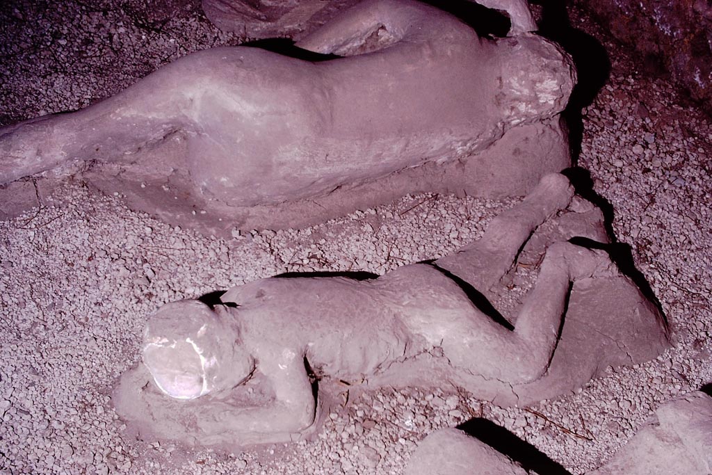 I.21.6 Pompeii. May 2016. Detail of plaster cast of the impression of two bodies. 
Photo courtesy of Buzz Ferebee.

