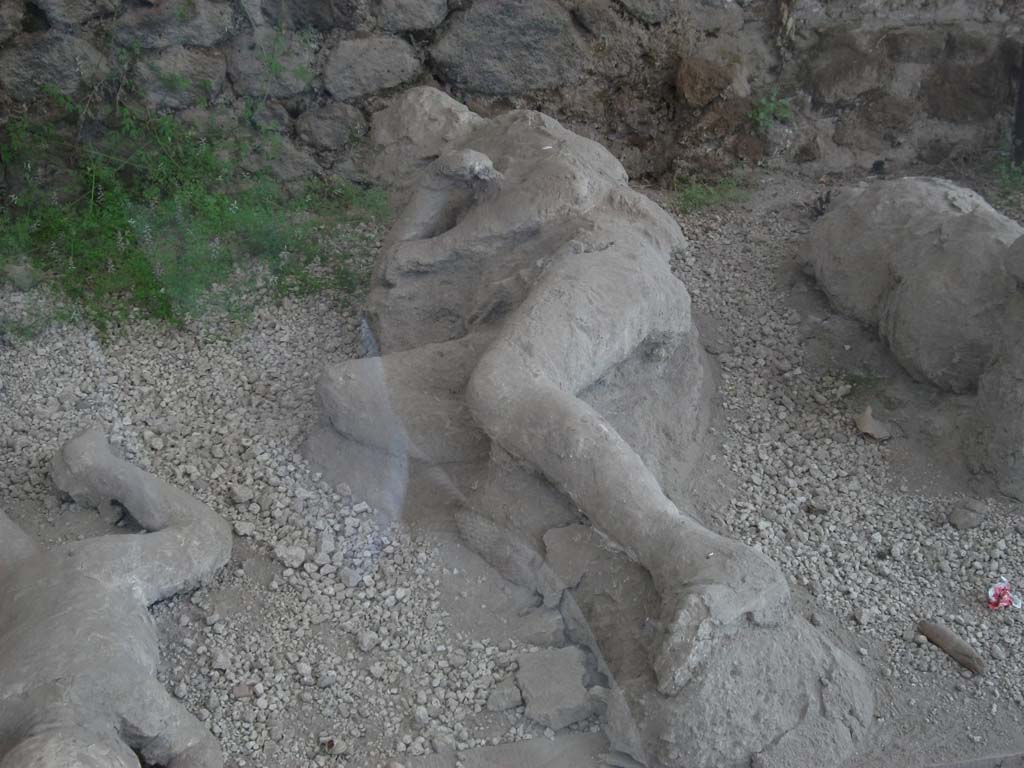 I.21.6 Pompeii. May 2010. Detail of plaster casts of impressions of bodies.