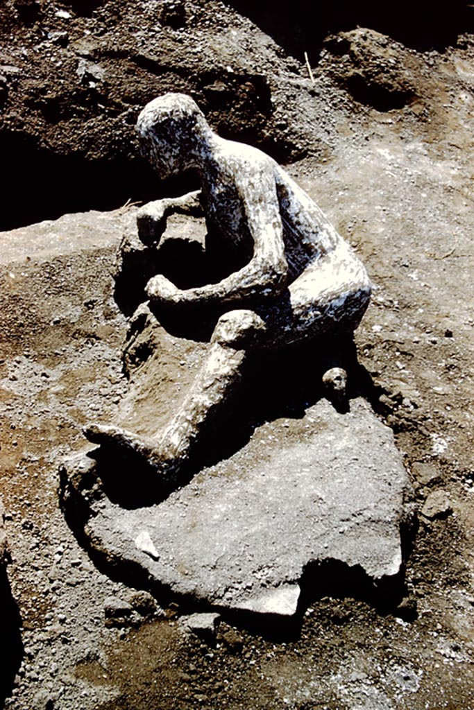 1.21.6 Pompeii. 1961. Victim 43. An ancient inhabitant of the city emerges. Photo by Stanley A. Jashemski.
Source: The Wilhelmina and Stanley A. Jashemski archive in the University of Maryland Library, Special Collections (See collection page) and made available under the Creative Commons Attribution-Non-Commercial License v.4. See Licence and use details.
J61f0476
