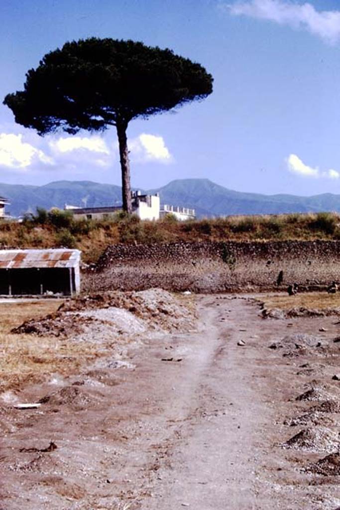 I.21.6 Pompeii, 1973. Looking south. Photo by Stanley A. Jashemski. 
Source: The Wilhelmina and Stanley A. Jashemski archive in the University of Maryland Library, Special Collections (See collection page) and made available under the Creative Commons Attribution-Non Commercial License v.4. See Licence and use details. J73f0467
