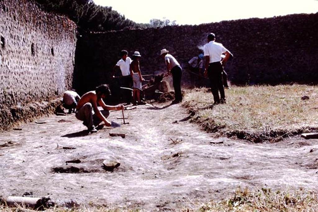 I.21.6 Pompeii, 1973. South-west corner of site. Photo by Stanley A. Jashemski. 
Source: The Wilhelmina and Stanley A. Jashemski archive in the University of Maryland Library, Special Collections (See collection page) and made available under the Creative Commons Attribution-Non Commercial License v.4. See Licence and use details. J73f0464
