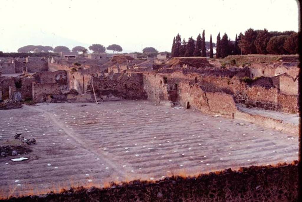 I.21.6 Pompeii. 1974. Looking north across the furrows and painted discs showing the position of root cavities. Photo by Stanley A. Jashemski.   
Source: The Wilhelmina and Stanley A. Jashemski archive in the University of Maryland Library, Special Collections (See collection page) and made available under the Creative Commons Attribution-Non Commercial License v.4. See Licence and use details. J74f0521
