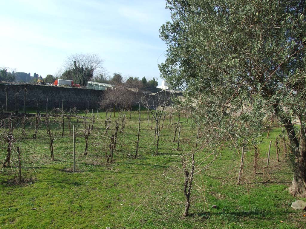 I.21.6 Pompeii. December 2007. Looking north-west across garden.