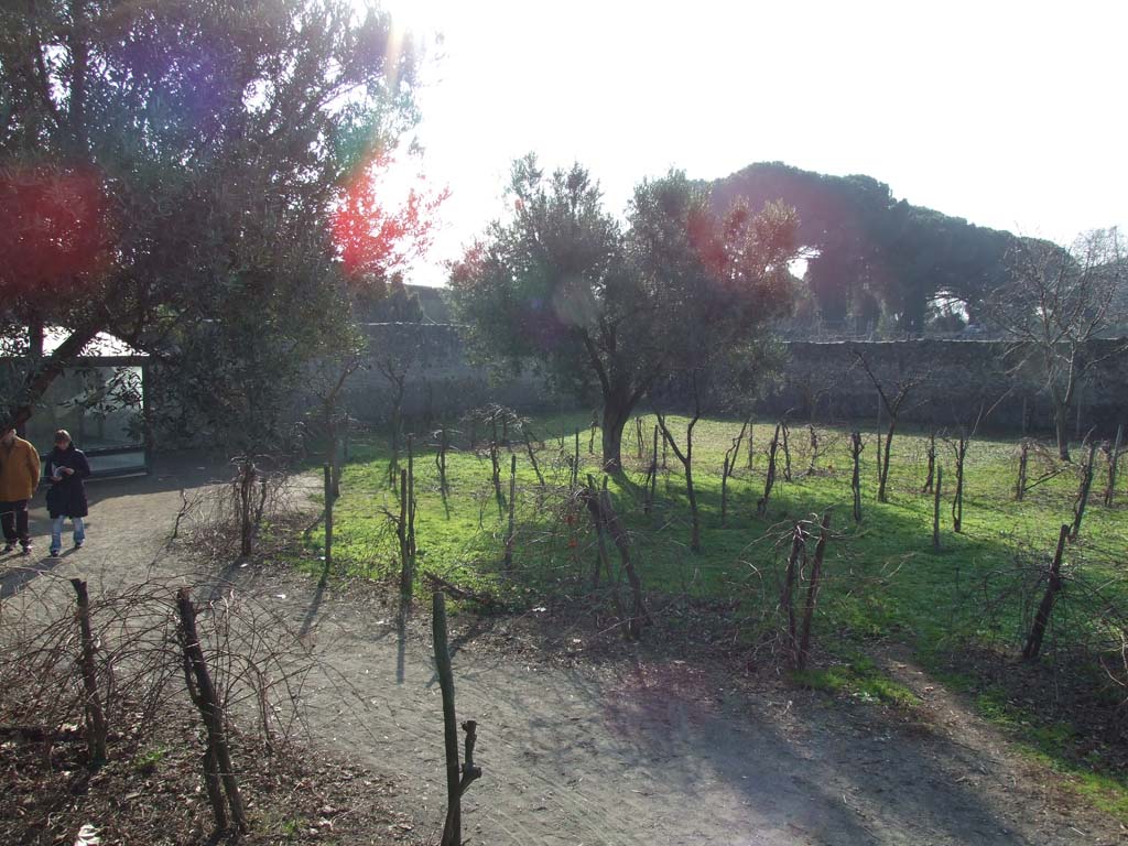 I.21.6 Pompeii. December 2007. Looking south-west across garden.