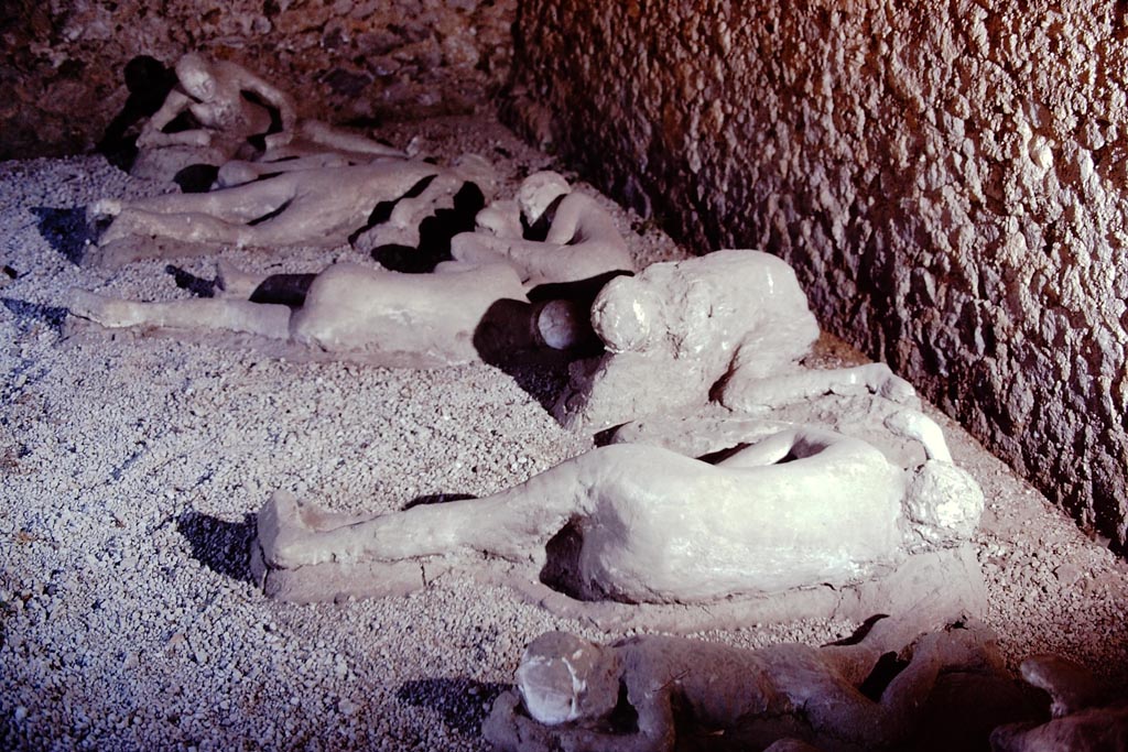 I.21.6 Pompeii. 1974. Plaster casts of bodies. Photo by Stanley A. Jashemski.   
Source: The Wilhelmina and Stanley A. Jashemski archive in the University of Maryland Library, Special Collections (See collection page) and made available under the Creative Commons Attribution-Non-Commercial License v.4. See Licence and use details.
J74f0221
