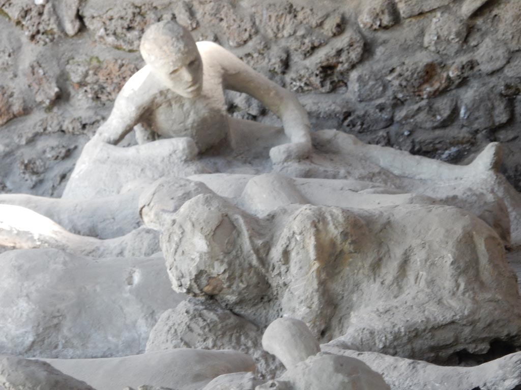 I.21.6 Pompeii. May 2016. Detail of plaster casts of impressions of bodies. Victim 43 at rear. Photo courtesy of Buzz Ferebee.