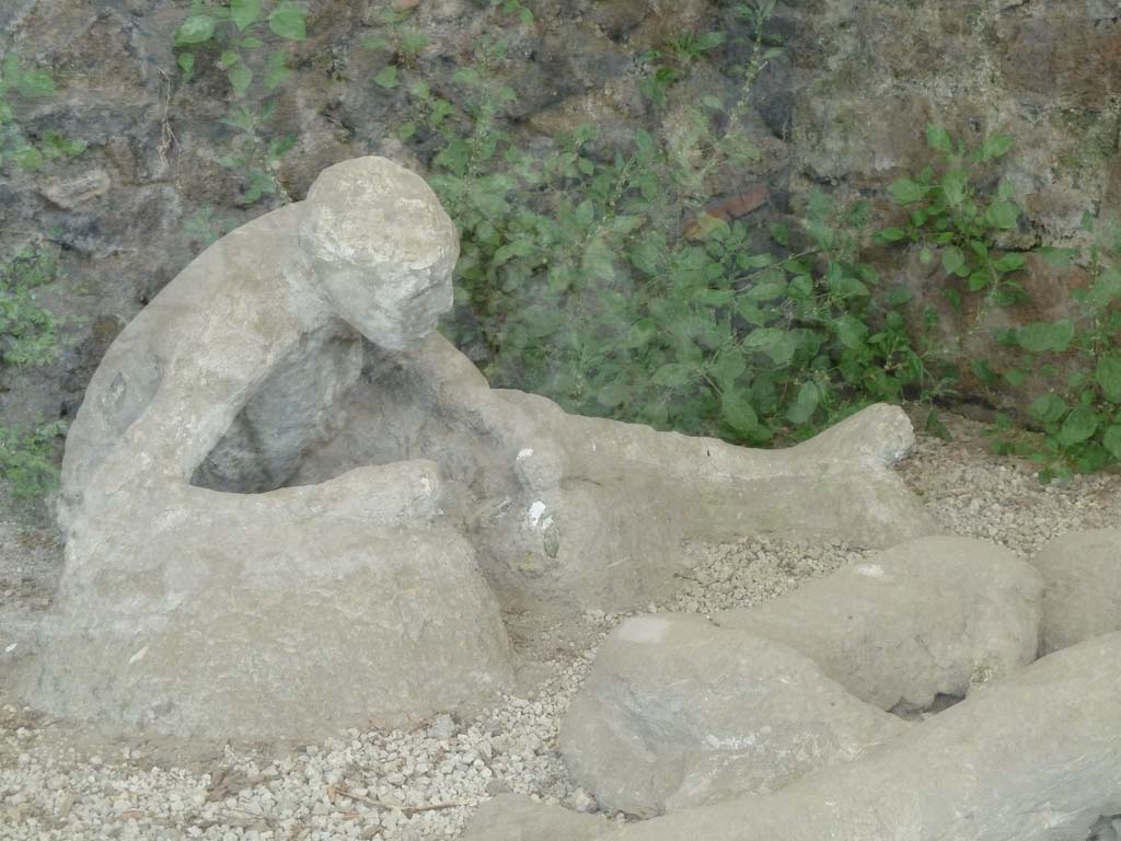 I.21.6 Pompeii. May 2010. Victim 43. Detail of plaster casts of impressions of bodies.