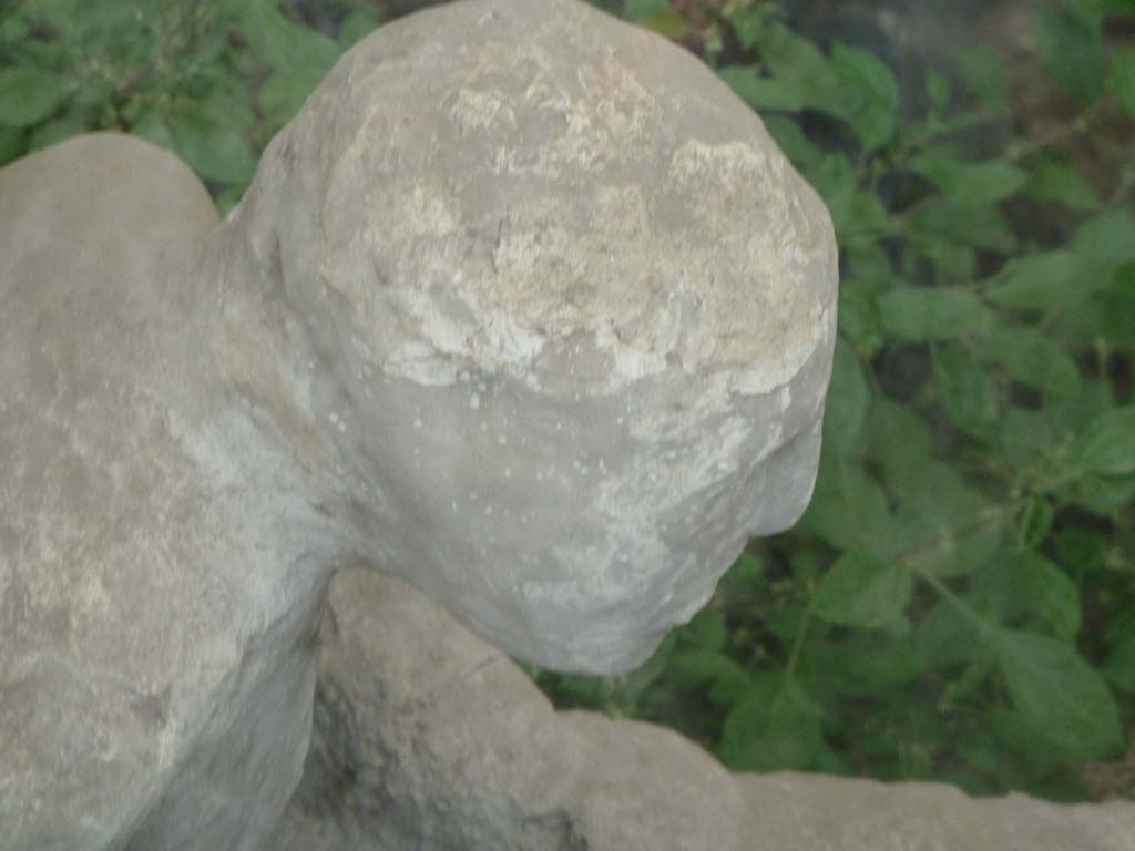 I.21.6 Pompeii. May 2010. Detail of plaster impression of a head of victim 43.