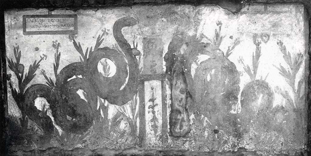 Painted street shrine on the wall at V.6.19. 
This shows two serpents moving through plants to an altar that had offerings on it.
See Fröhlich, T., 1991. Lararien und Fassadenbilder in den Vesuvstädten. Mainz: von Zabern, (p.319, 35, Taf 56,2)
According to Spano, "one of the usual representations of two enormous agatodemon snakes came to light, which on both sides approach a sumptuous altar, all included in a rectangular space with a white background, measuring 2.10m. X 1.00m. 
The picture, however, is here, more than elsewhere, notable for the inscription painted in the corner upper left, and which I reproduce here: 
CACATOR SIC VALEAS 
VT TV HOCLOCVM TRASIA
The image of snakes, tutelary geniuses of a place, served in general to defend that place against any kind of ugliness. 
What ugliness was feared in the place where we are, however, is explicitly stated by our inscription".
See Spano, in Notizie degli Scavi di Antichità, 1910, p. 262.
