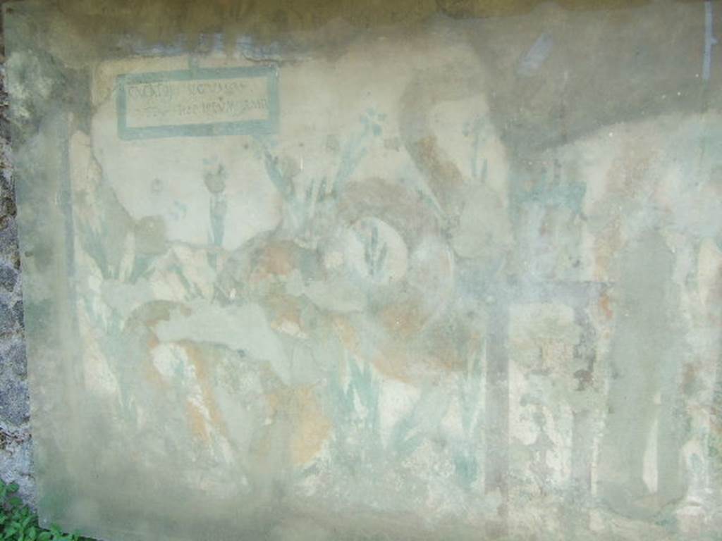 Left hand side of painted street shrine on the wall at V.6.19. December 2005.