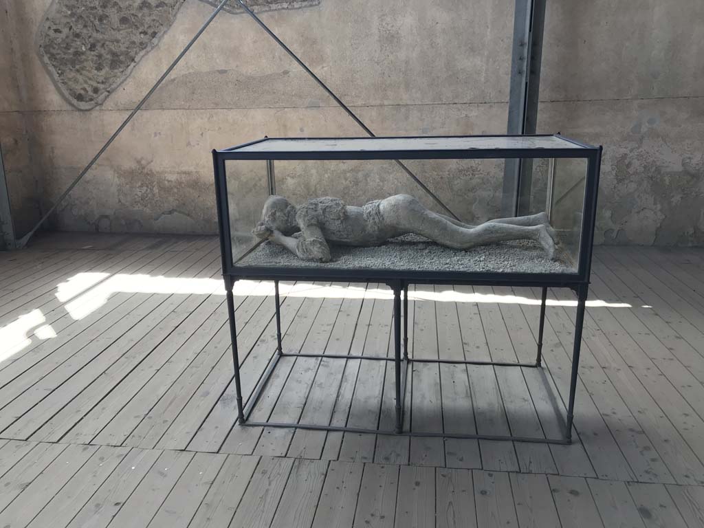 Victim 10. December 2019. The young girl from Strada Stabiana.
On display in exhibition “Pompei e Santorini” in Rome, 2019. Photo courtesy of Giuseppe Ciaramella.
