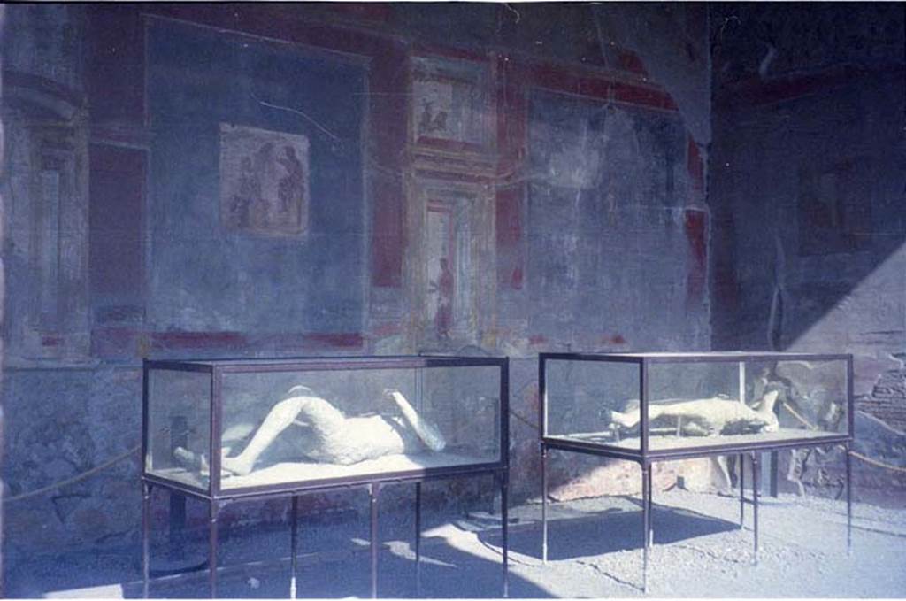 VII.9.7 and VII.9.8 Pompeii. July 2011. North-west corner of Macellum, with plaster casts.
On the left is the glass case containing the victim numbered 12.
On the right is the glass case containing the victim numbered 15.
Photo courtesy of Rick Bauer.
