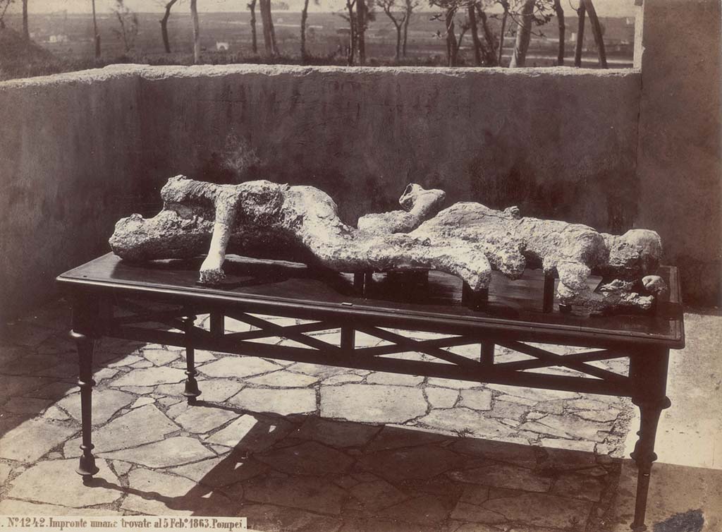 Victims numbered 2 and 3. 5th Feb 1863. G Sommer photo no. 1242. Photo courtesy of Eugene Dwyer.
In his description of these plaster-casts in his Guida di Pompei, 1877, Fiorelli described –
“Two women [nos. 2 and 3], one next to the other. The older resting on her side; the younger face down, with her face in her arm. 
(Reg.VII, Insula XIV, via quarta).”
See Fiorelli, Guida di Pompei, [Rome, 1877,] p.88-89. 
See Dwyer, E., 2010. Pompeii’s Living Statues. Ann Arbor: Univ of Michigan Press, (p.94).

