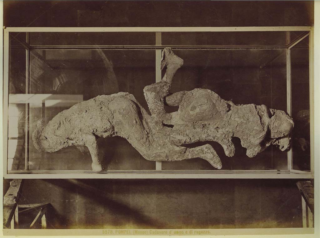 Victims numbered 2 and 3, photograph taken by Brogi (no. 5578) in a display case in the museum. Photo courtesy of Eugene Dwyer.
According to Dwyer –
“Errors crept into the Museum, as the contents were frequently moved to make room for new castings.
On one Brogi photograph (no. 5578), the casts of the two women, numbers 2 and 3, are described as “Body of man and boy”. 
See Dwyer, E., 2010. Pompeii’s Living Statues. Ann Arbor: Univ of Michigan Press, (p.108).


