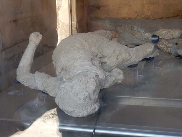 VII.1.47 Pompeii. May 2017.  Plaster-cast of victim number 4.
Plaster cast of a female, on display in triclinium 8 but found in the Vicolo degli Scheletri. 
Photo courtesy of Buzz Ferebee.

