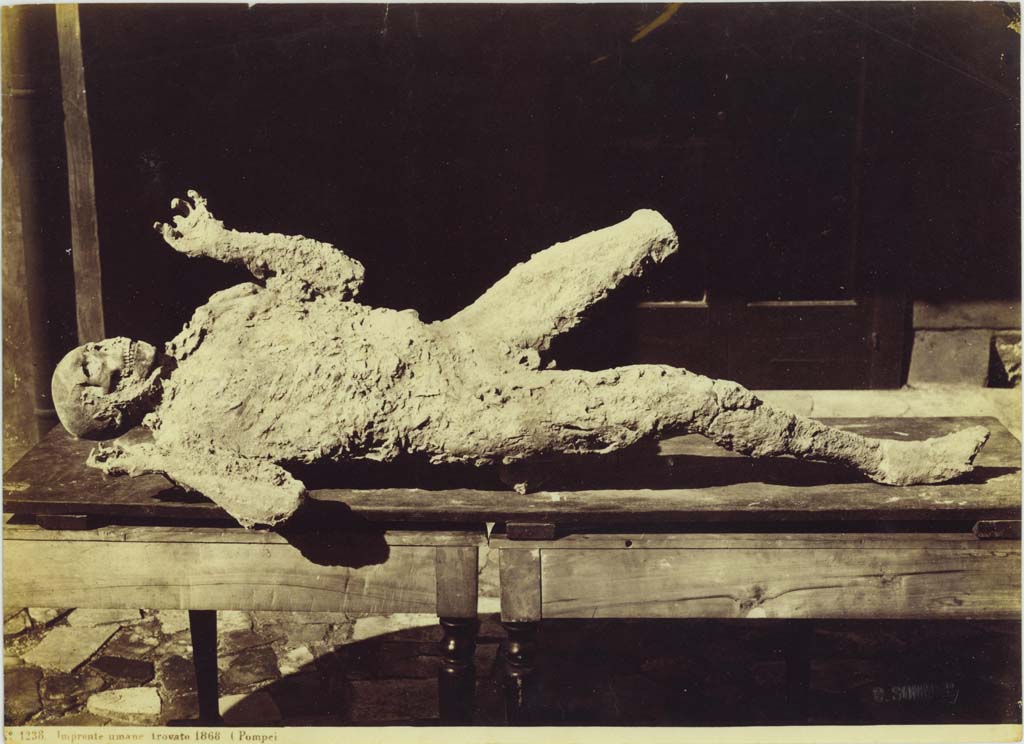 Victim number 5. 1868. Photographed by Giorgio Sommer. Photo courtesy of Eugene Dwyer.
In his description of this plaster-cast in his Guida di Pompei, 1877, Fiorelli described –
“Man, [no.5], face down, with his hands extended. (Reg. VII. II, 16, but wrongly numbered VII.II.18)”.
See Fiorelli, Guida di Pompei, [Rome, 1877,] p.88-89. 
