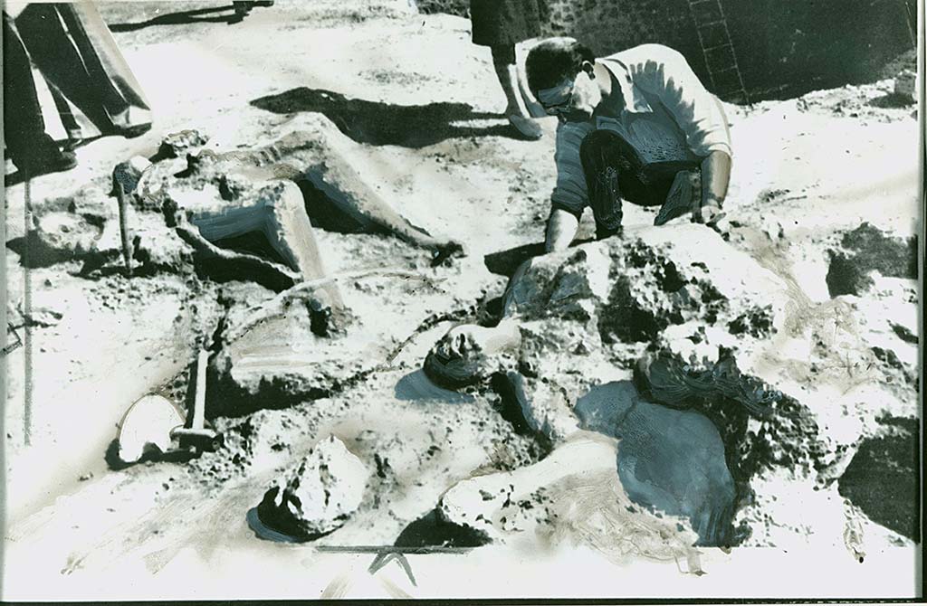 Porta Nola Pompeii. Press photo dated 18th September 1976 of body casts "Discovered this week on the outskirts of Pompeii".
The photo has been touched in in places for publication so it is difficult to be certain but comparing with the plan above could suggest: No.7 rear to the left? No. 4 with arm outstretched? No. 9 on the lower right? Numbers 4 and 6 would have been in this group also behind No. 9.
Photo courtesy of Rick Bauer.
