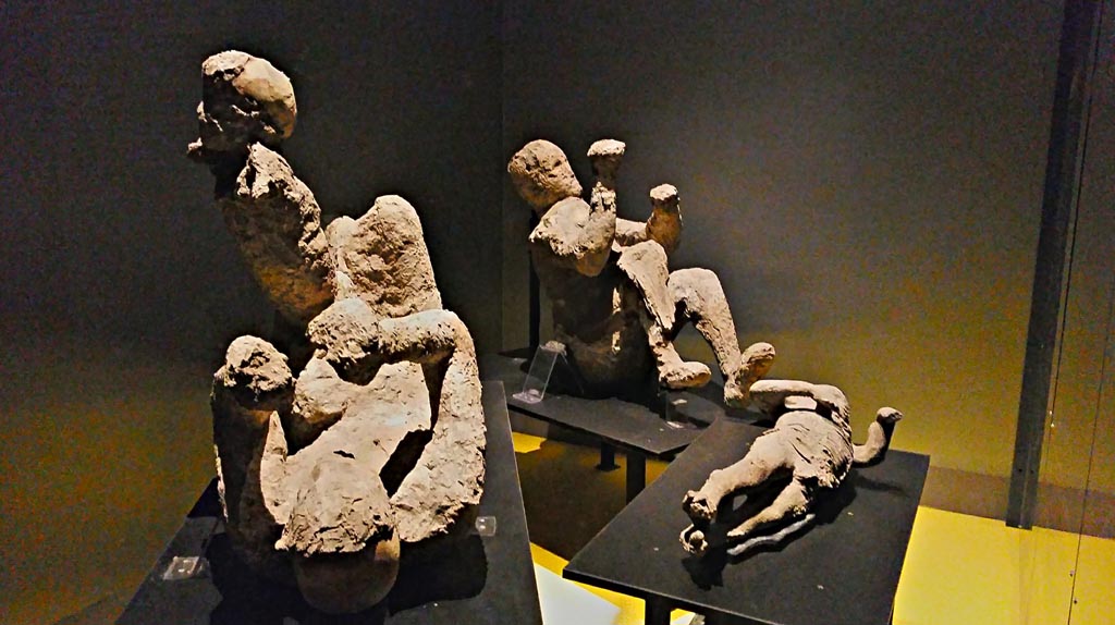VI.17.42 Pompeii. Victims 50 to 53. 2018 or 2019. 
Plaster-casts of a family group of four. On display in Antiquarium. Photo courtesy of Giuseppe Ciaramella.

