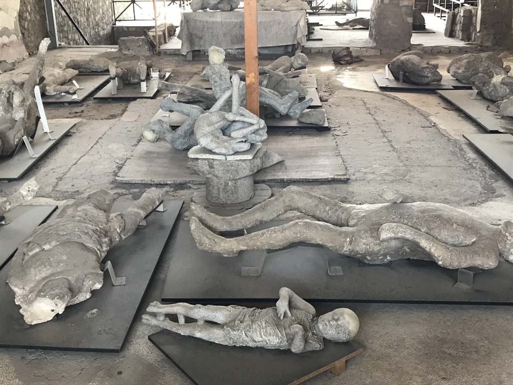 VI.17.42 Pompeii. April 2019. Looking west across atrium, with detail of plaster-casts. Photo courtesy of Rick Bauer.